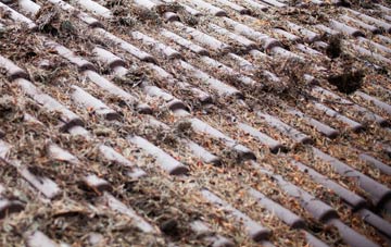 Dafen roof cleaning companies