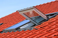 Dafen roof window